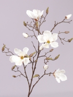 Magnolia tak 107cm creme